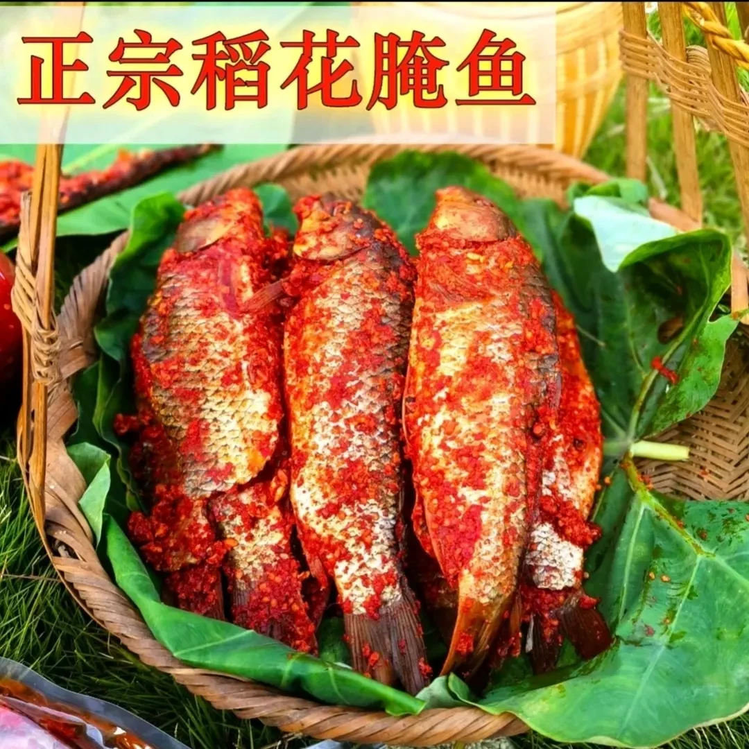 贵州黎榕从苗族侗族传统手工腌制古法酿制腌鱼腌肉