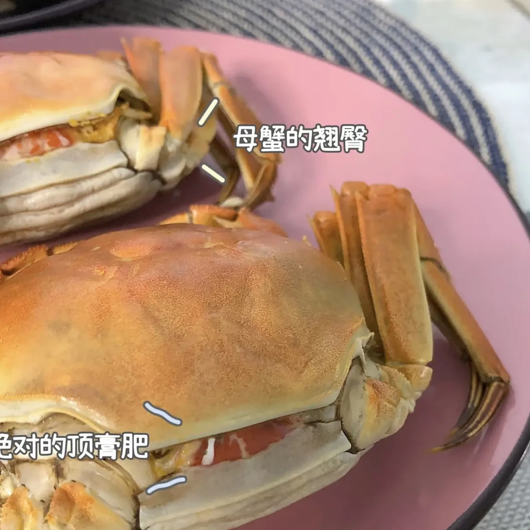【活蟹】盘锦河蟹全母蟹3斤装1.6-2两15-18只