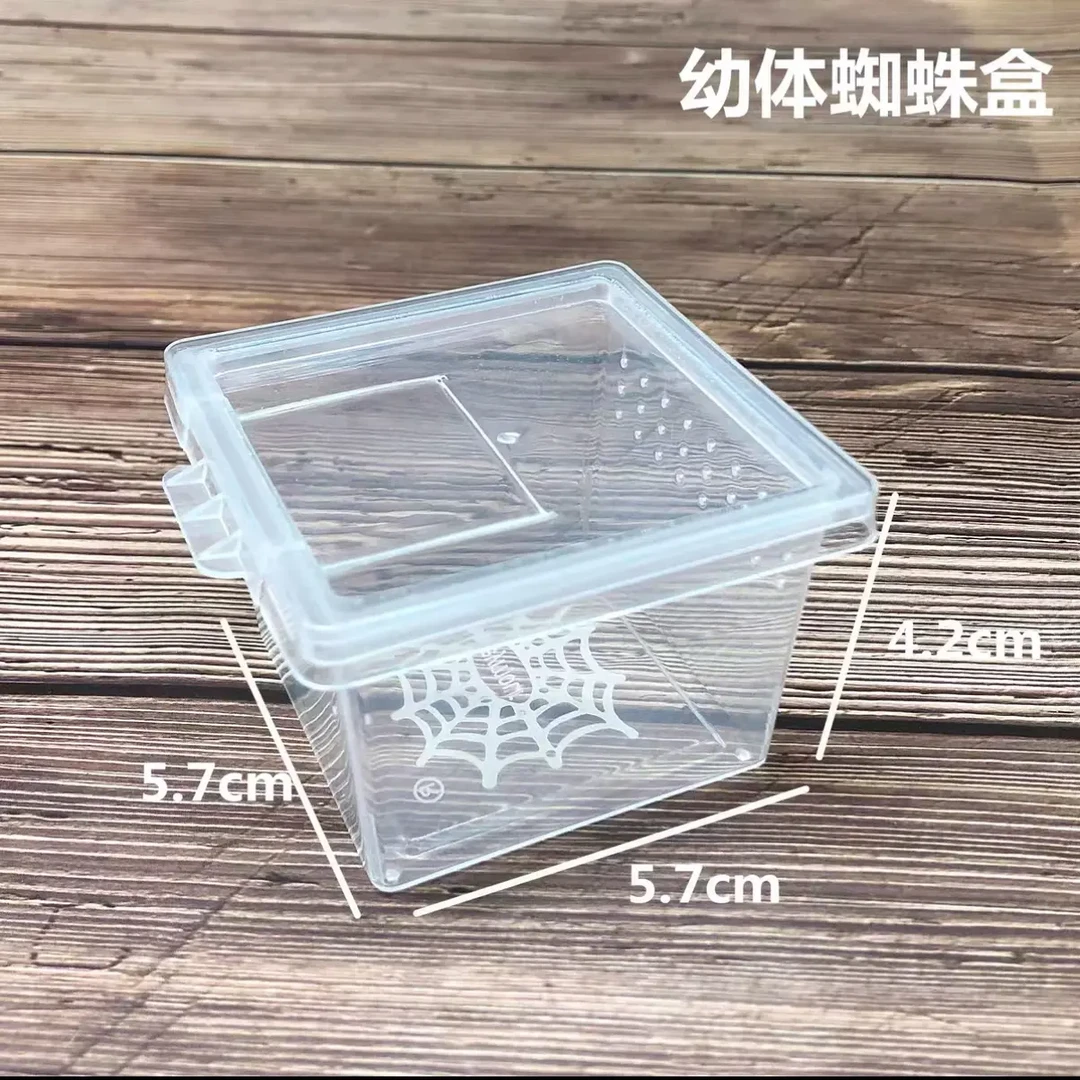 小方盒 饲养盒 幼体 蜘蛛蝎子蜈蚣饲养盒 幼体防越狱透气 可叠放