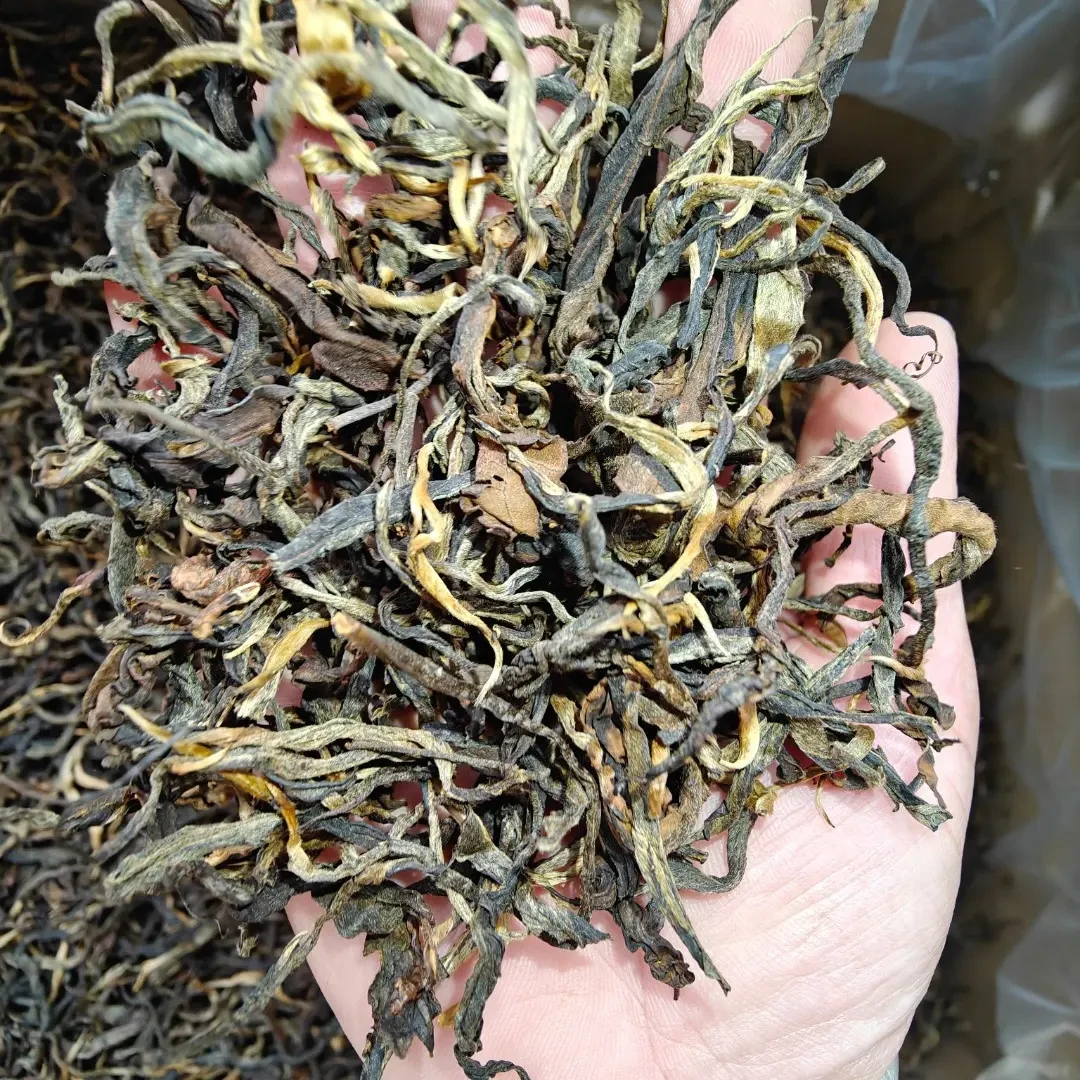 古树晒红春茶云南普洱红茶散茶天然花蜜香