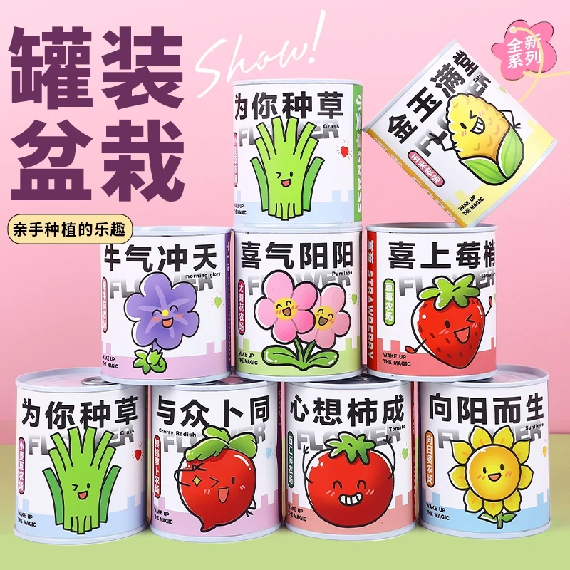 室内迷你桌面小绿植儿童种植罐头观景盆栽草莓含羞草宿舍摆件