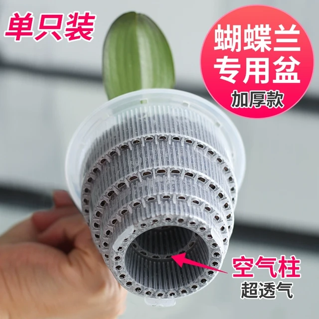 美莳蝴蝶兰专用控根花盆透明透气塑料营养杯石斛育苗杯镂空青山盆