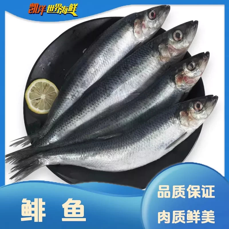 【凯洋严选】凯洋世界海鲜 阿拉斯加 鲱鱼 K1590