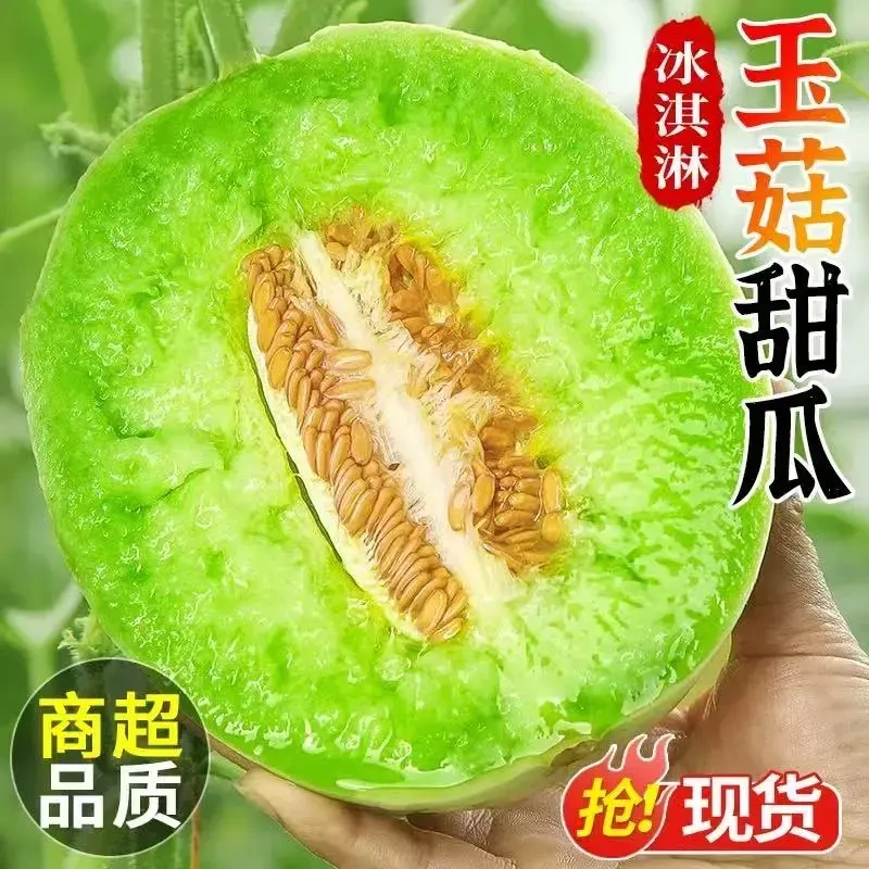 山东冰淇淋玉菇甜瓜当季新鲜水果头茬现摘软糯香甜蜜瓜