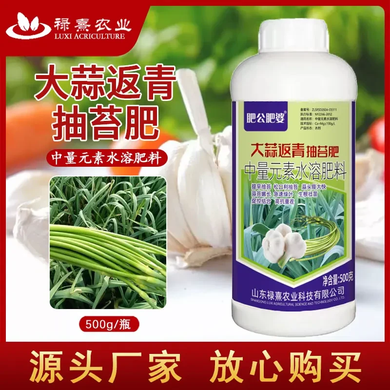 肥公肥婆大蒜返青抽苔肥出苔齐蒜头大蒜苔粗专用增产早熟叶面肥