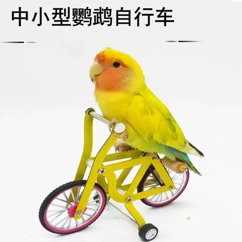 鹦鹉玩具自行车训鸟用品用具道具牡丹玄凤训练益智互动玩具单