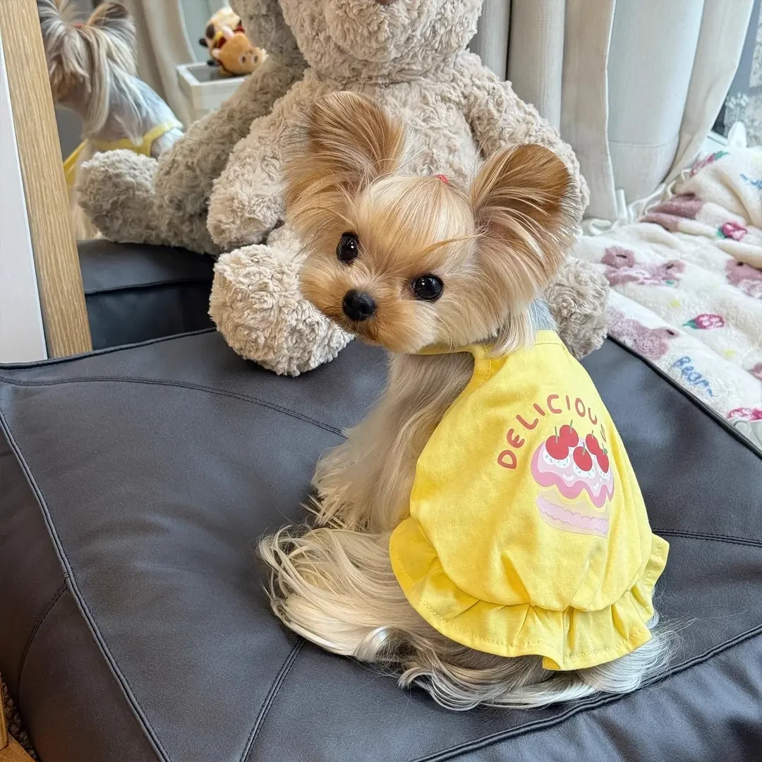 宠物服狗猫咪小型犬泰迪比熊印花吊带南瓜裙约克夏马尔济斯衣服T
