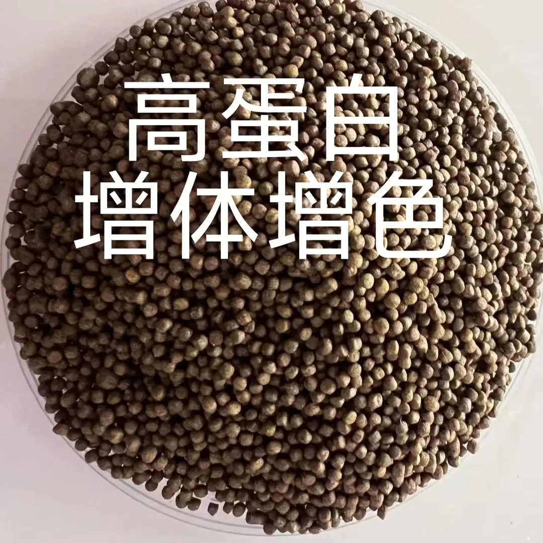 蝴蝶鲤专用高蛋白增体增肥发鳍上浮下沉颗粒型鱼食饲料