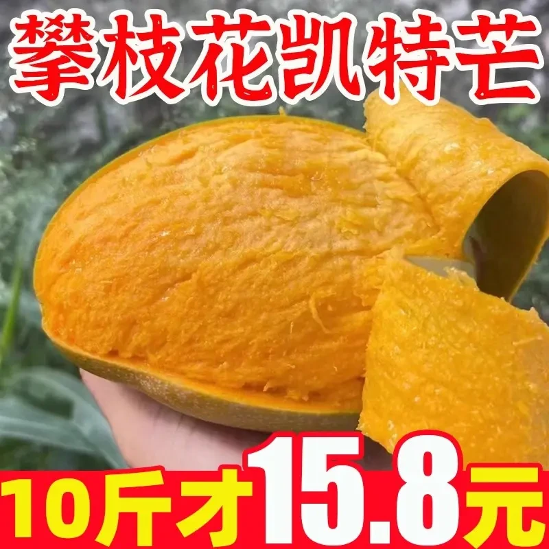四川凯特芒攀枝花果整箱应当季新鲜水果特大青皮芒果凯特芒包邮
