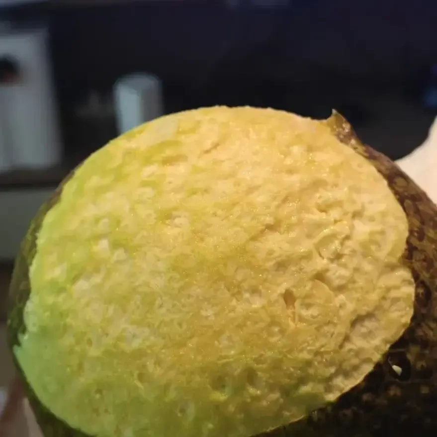 【顺丰包邮】应季水果新鲜现摘面包果网红热带水果蒸煮炸炒炖烤皆可