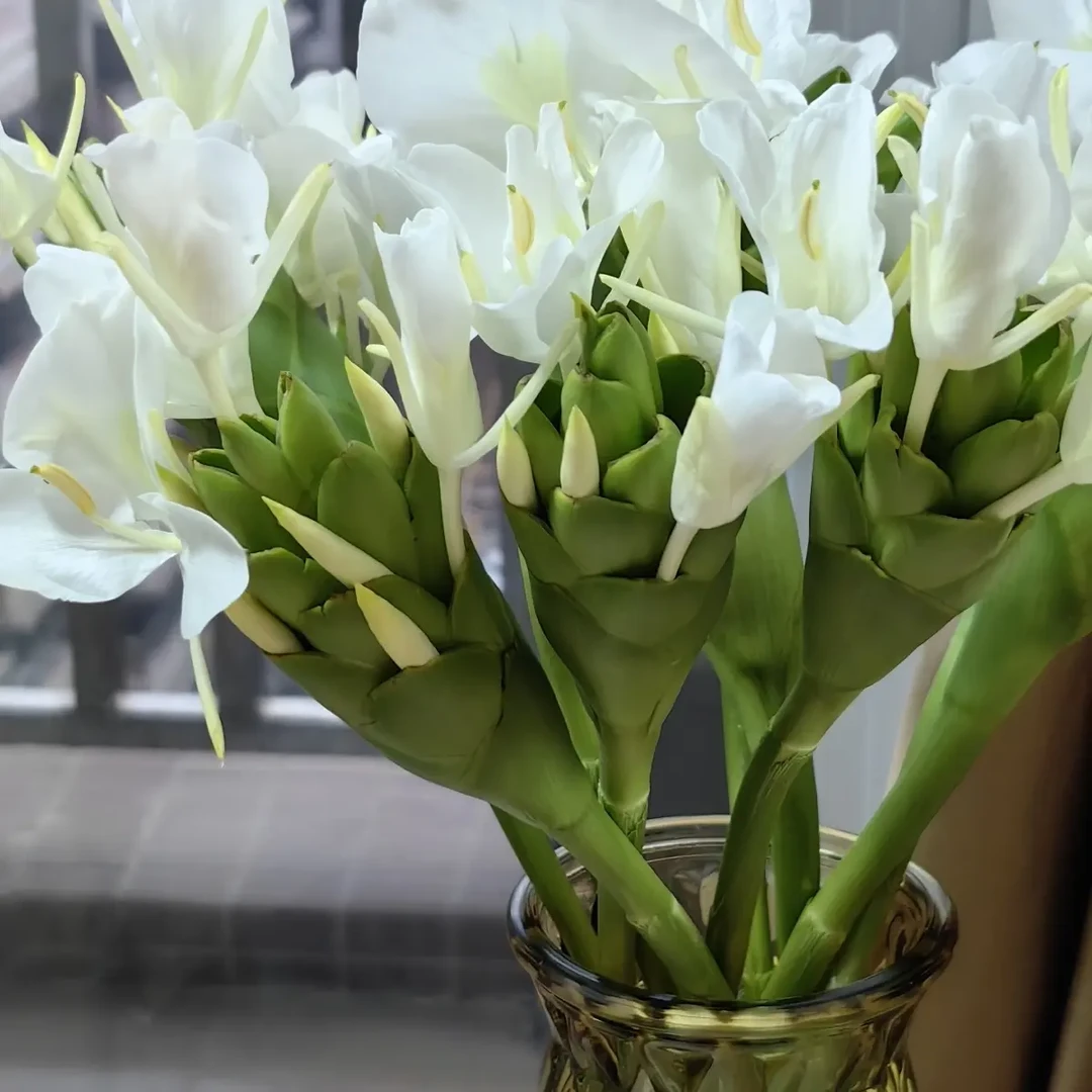 赤壁姜花鲜切花水养易活美观有香气家庭用花11月3号开始发货