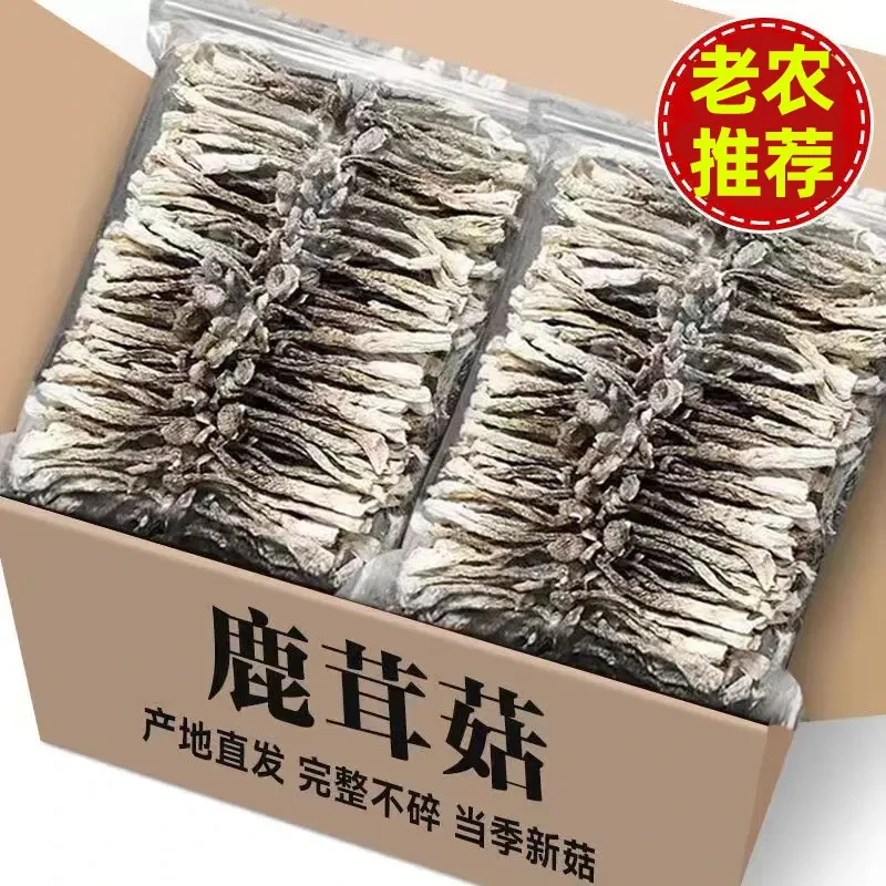【净重】鹿茸菇干货新货食用菌菇干货营养香菇煲汤食材鹿茸菌干锅