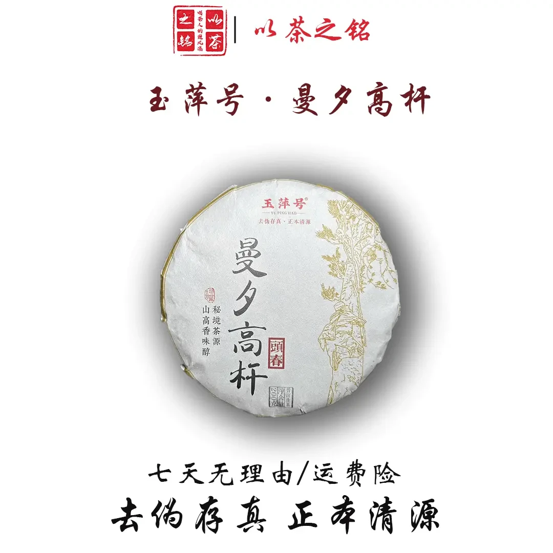 【以茶之铭】玉萍号·曼夕高杆头春200g普洱生茶·山高香味醇（带茶样）