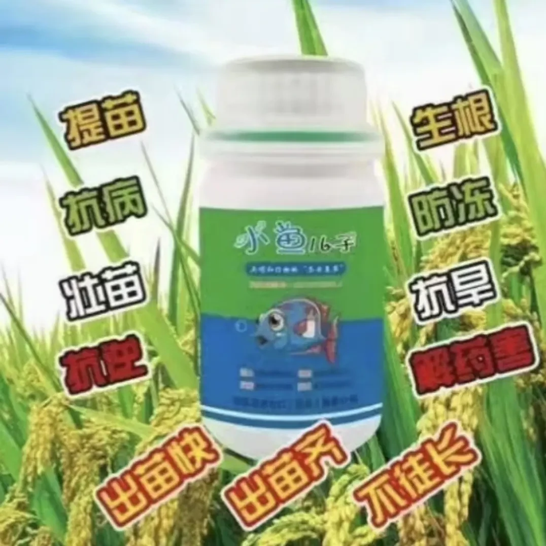 小鱼儿子菌肥泡种子喷种子喷苗后不用洗苗盘根不散花解药害苗齐