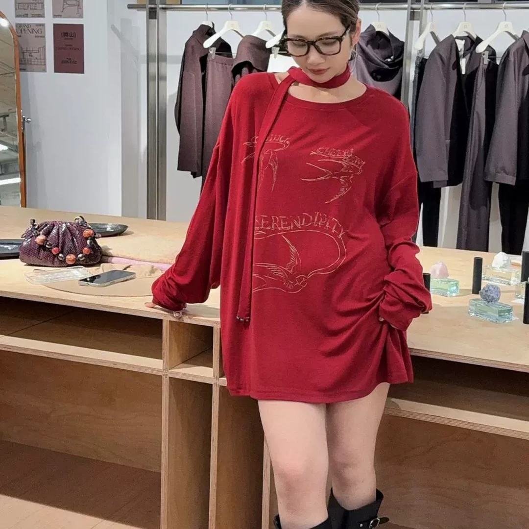 设计师款2025春新品简约百搭春燕送福印花圆领宽松长袖T恤上衣女