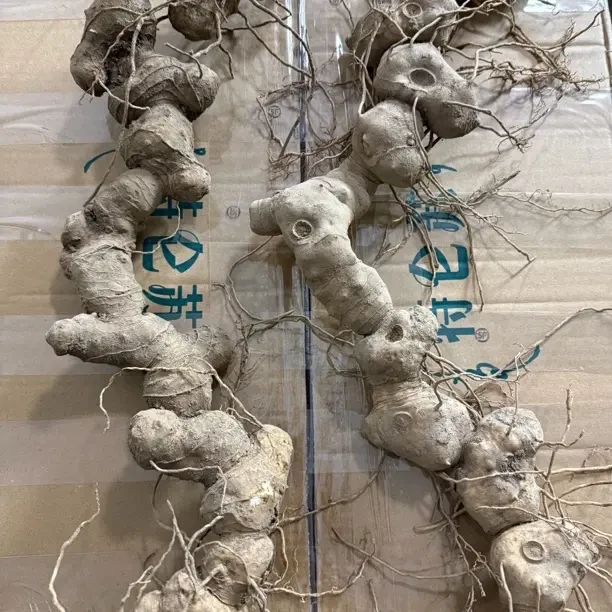 生鲜类根茎类山货