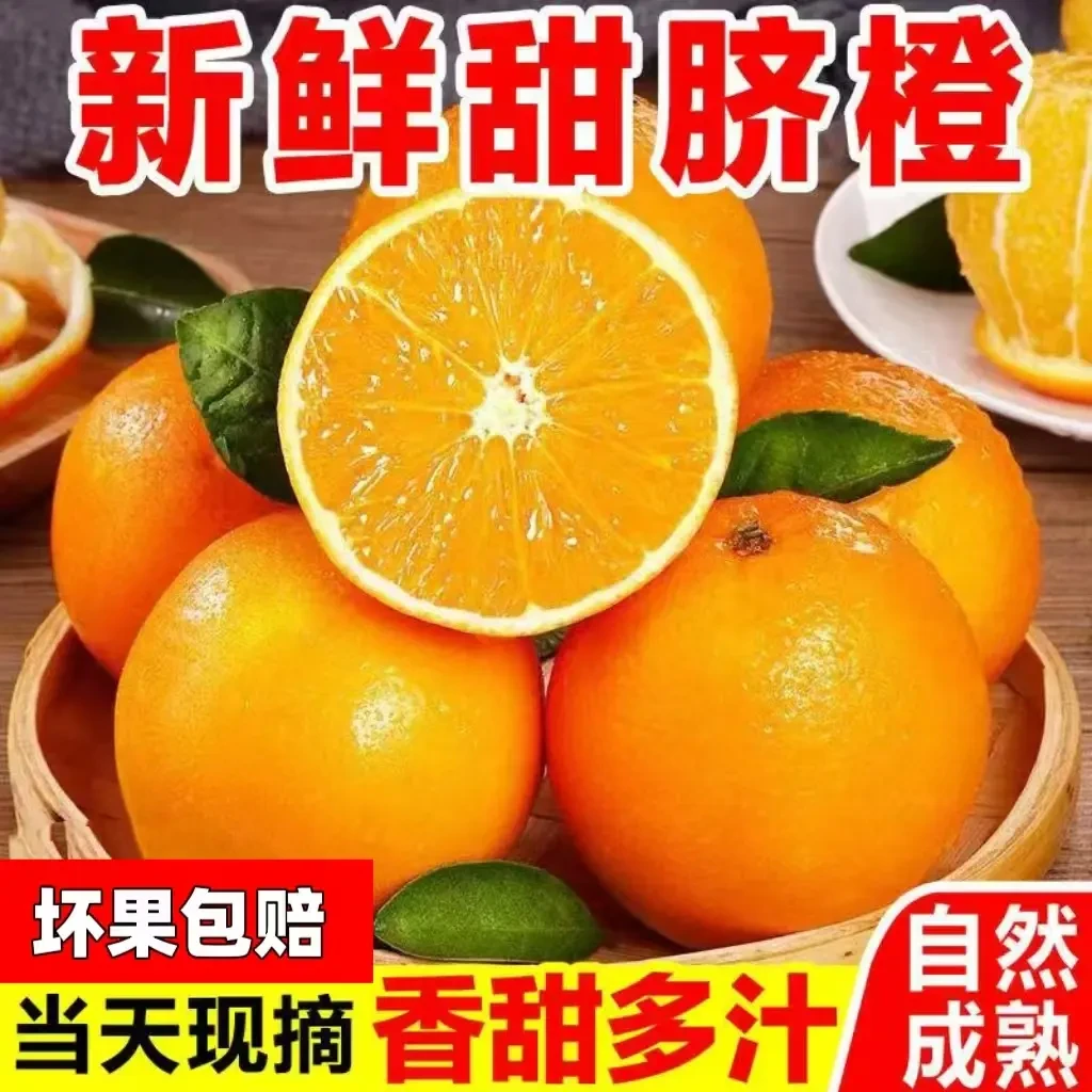 【四川正宗高山脐橙现采现发】四川脐橙新鲜水果产地直发坏果包赔
