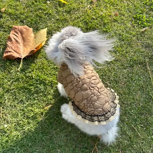 宠物猫咪狗狗兔子秋冬加厚保暖棉衣小型犬大型犬适用可爱款式