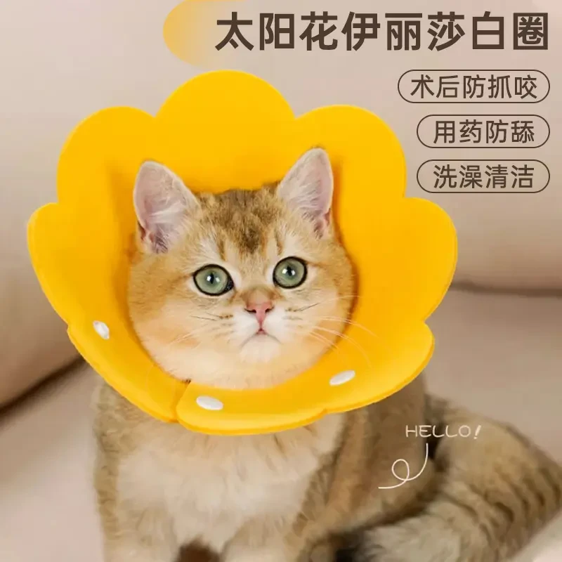 伊丽莎白圈猫绝育项圈防舔除跳蚤英短猫咪脖圈颈圈头套狗宠物用品