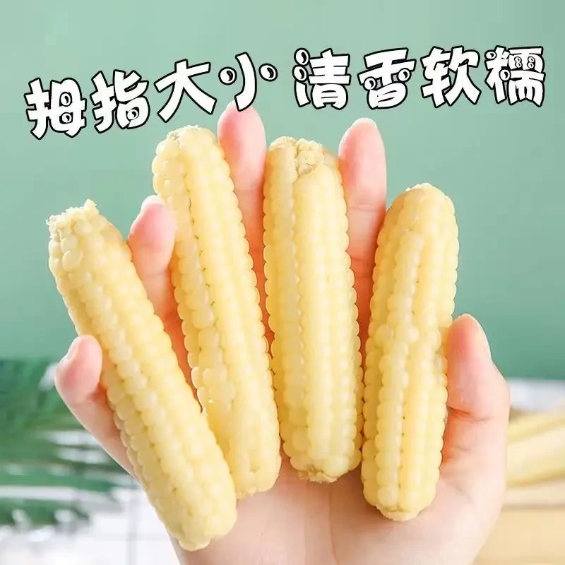 云南西双版纳拇指小玉米香糯新鲜甜玉米独立包装即食代餐宝宝餐1