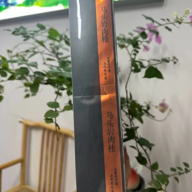 马头岩肉桂乌龙茶武夷岩茶高端礼盒保质保真