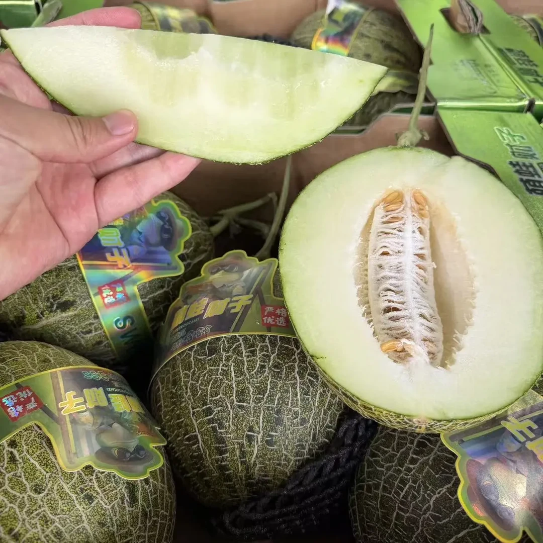 【青蛙王子甜瓜】甜蜜好吃 顺丰包邮