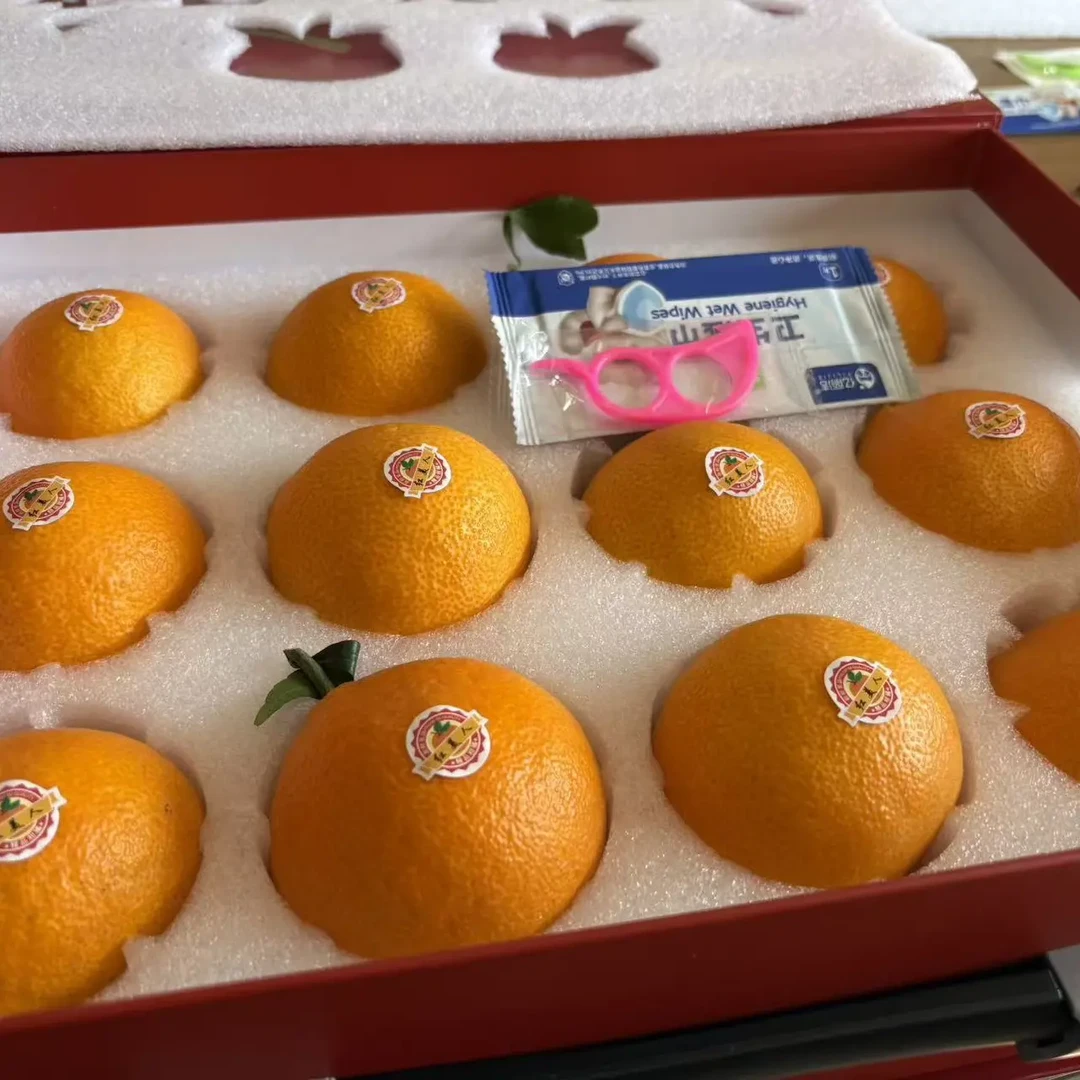 正宗象山红美人，礼盒12棵装，净重5斤