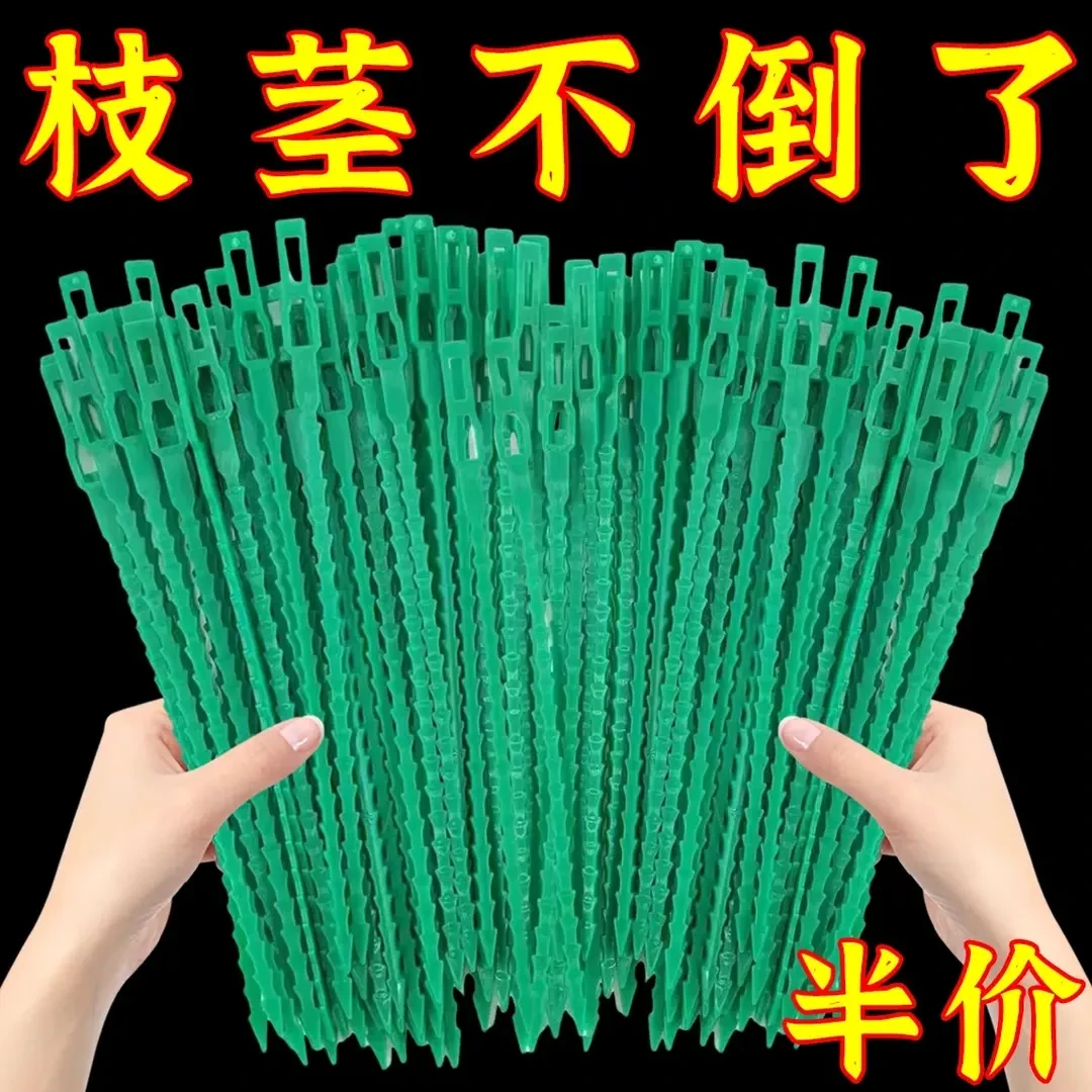 植物爬藤多用加固途鱼骨刺绿色菜园用绑扎带园林线扎带使用鱼骨扎