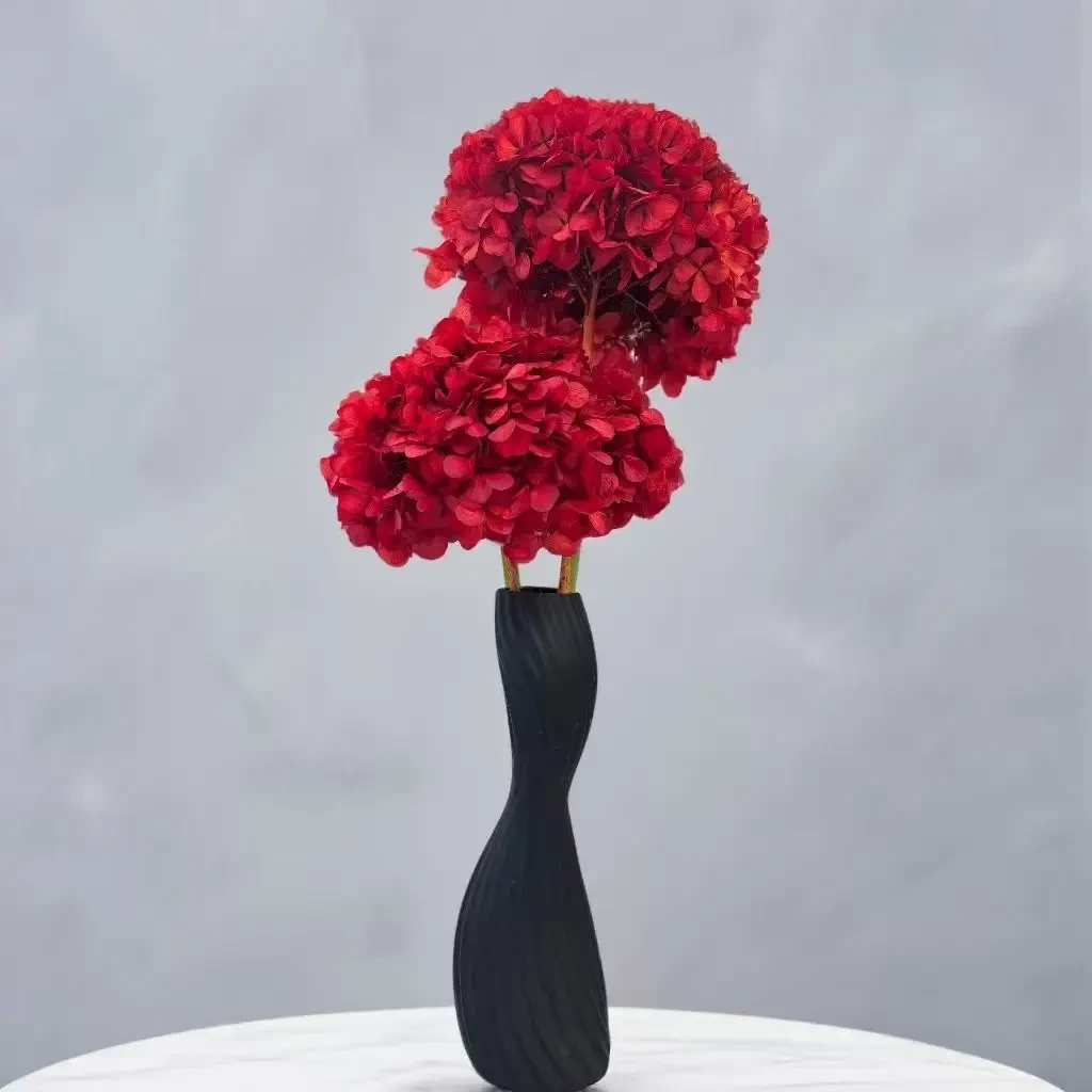 安哥拉红 绣球永生花真花 高级感欧式节庆礼品花 客厅装饰摆件