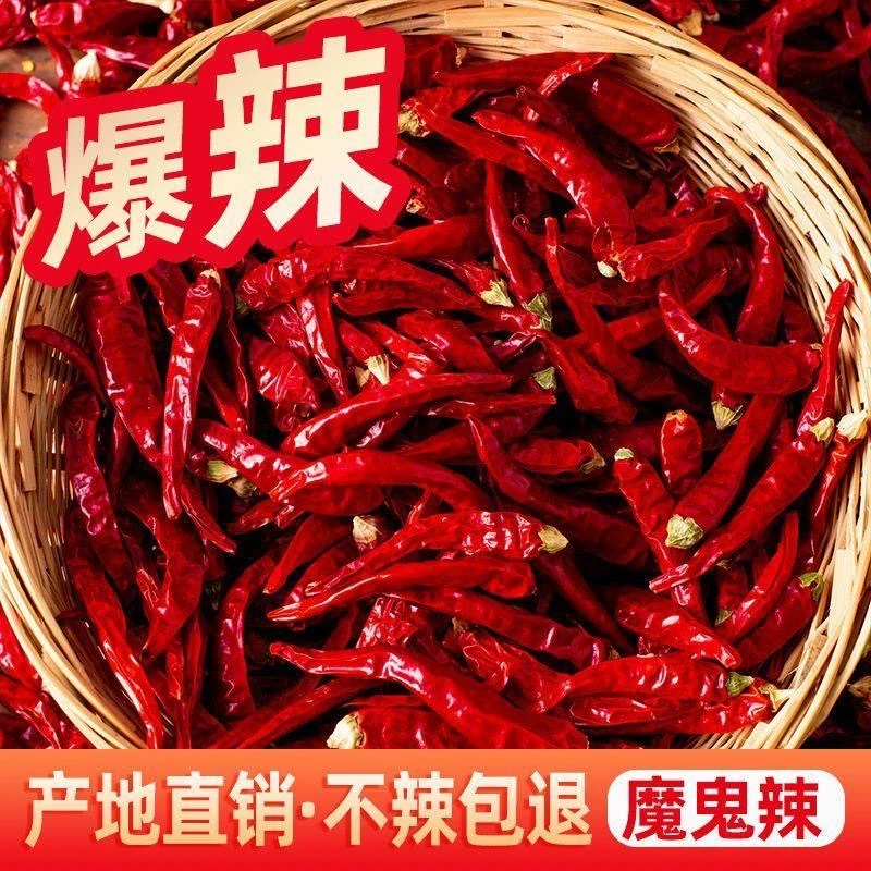 Z1当季新货巨辣干辣椒魔鬼椒特香特辣香辣 辣椒段 辣椒粉红辣椒