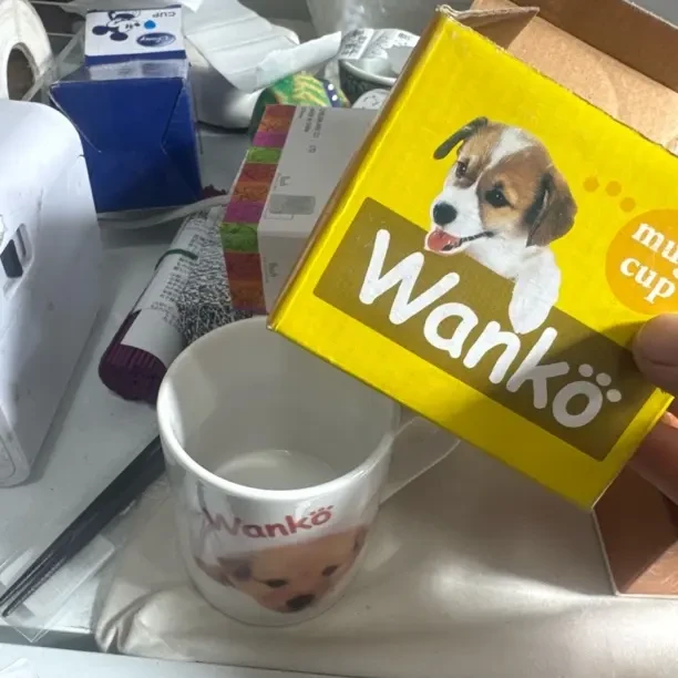 陶瓷彩绘带手柄欧式小清新大容量家用咖啡杯