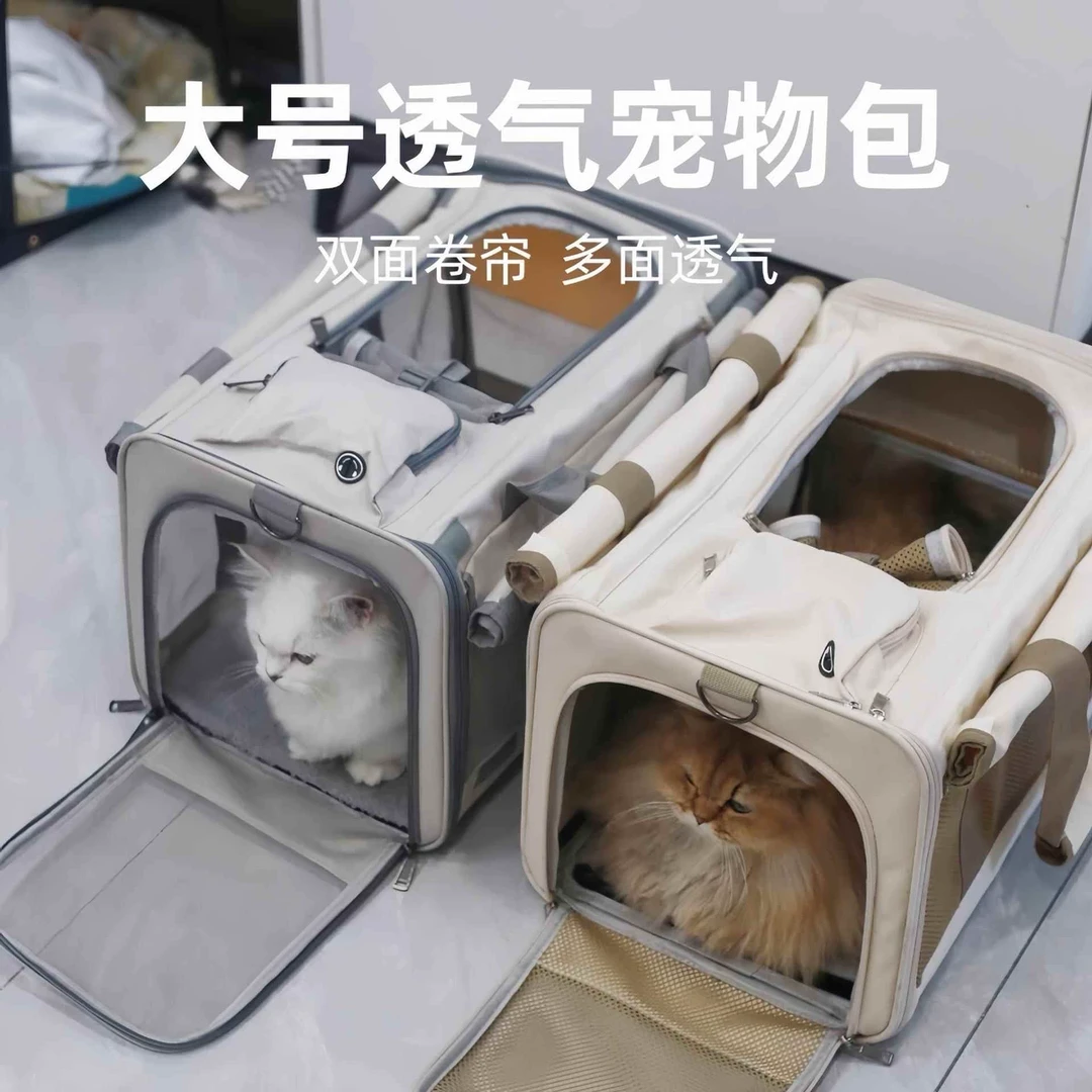 两只猫咪外出手提航空箱大容量透气宠物猫包春游大号可折叠猫包