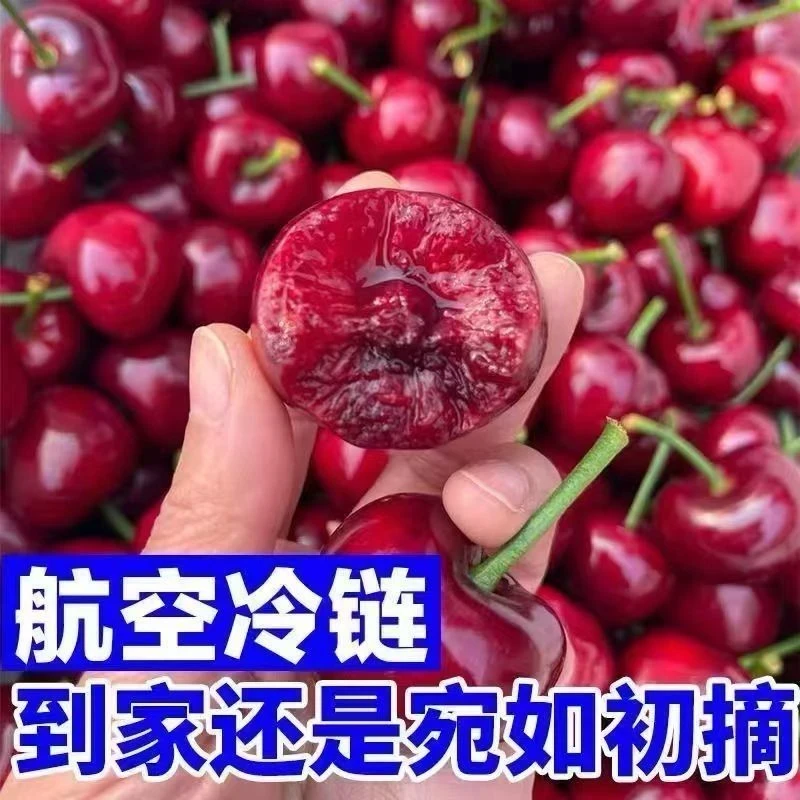 【航空冷链】山东美~早新鲜水果现采现摘脆甜爆汁 石榴 带箱4斤XXH