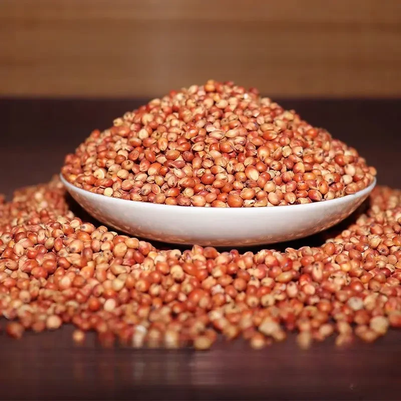 新货红高粱带壳带皮酿酒喂鸽子鸟类粮食未脱皮乔高粱带壳