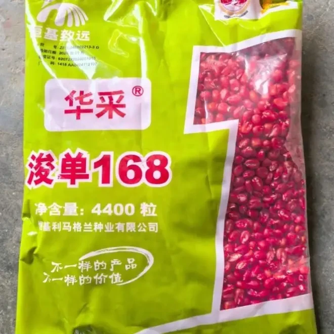 中法合资、浚单168