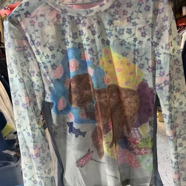 常规休闲风漂白轻熟风圆领吸汗长袖印花修身型网纱小狗T恤