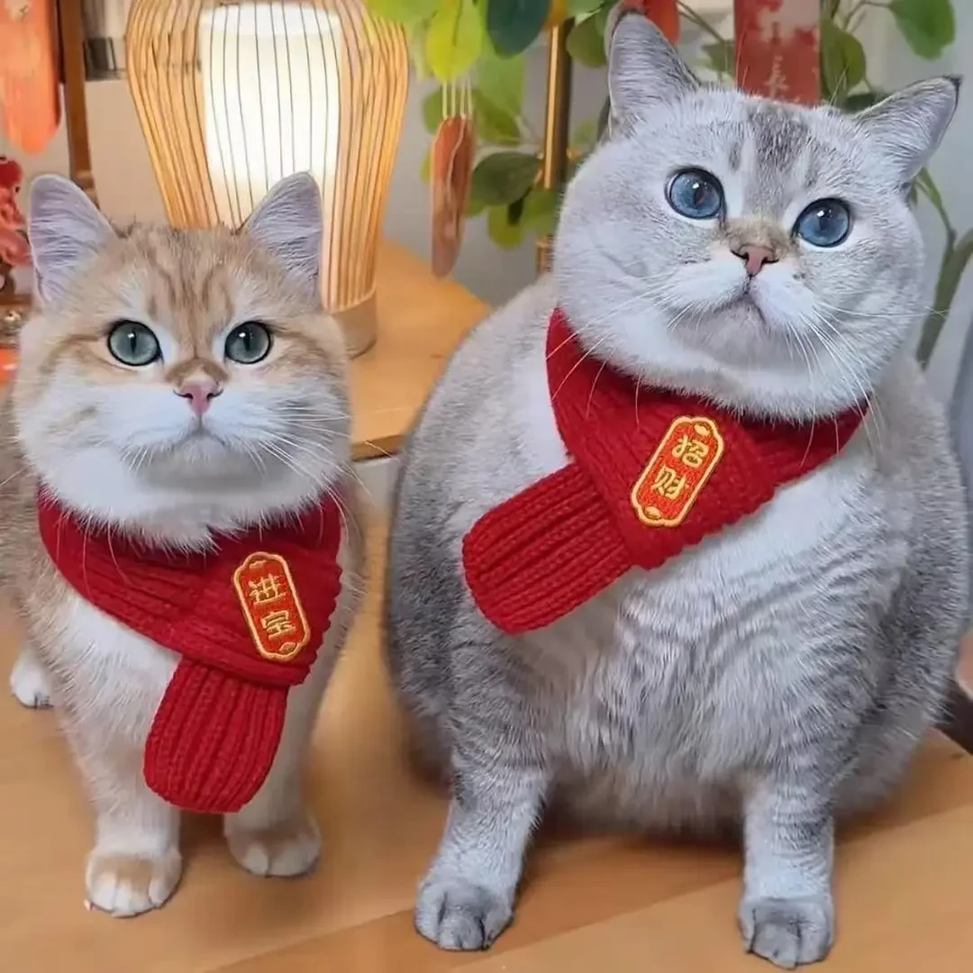 宠物猫咪围脖口水巾狗狗围脖装饰红色可爱毛线保暖针织喜庆三角巾