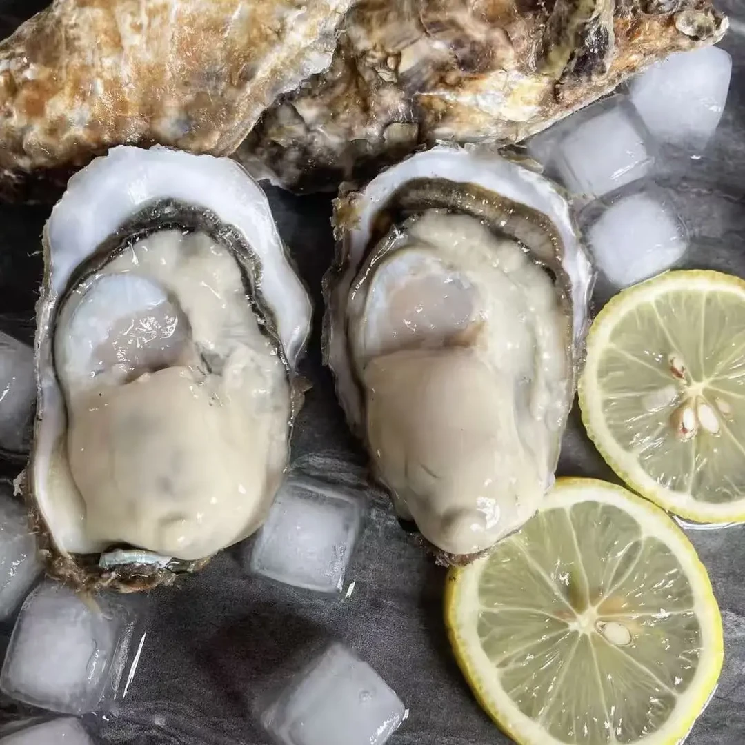 （小庄推荐）新鲜正宗日照生蚝5斤鲜活可刺身火锅蒸煮