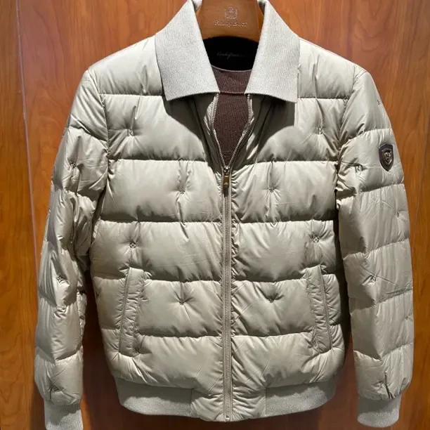 Raidy Boer/男士冬季休闲轻奢百搭翻领加厚白鸭绒保暖羽绒服外套