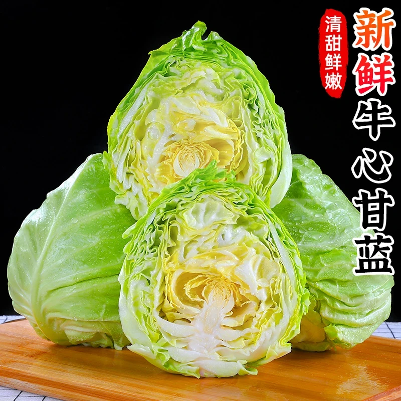 【清甜鲜嫩】新鲜牛心甘蓝尖包菜卷心菜莲花白牛心包菜甘蓝菜