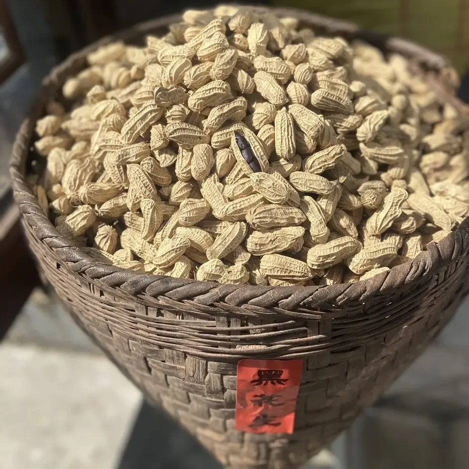 云南富硒老品种带壳黑花生自然晒干营养健康零食