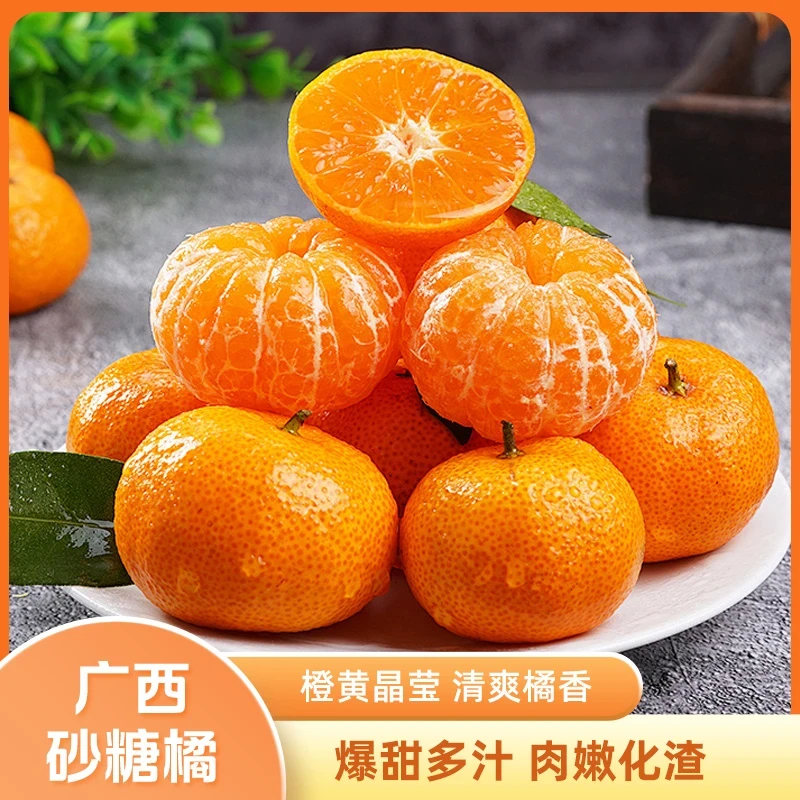 广西砂糖桔 X正宗新鲜产地直发蜜水果整箱现摘现发
