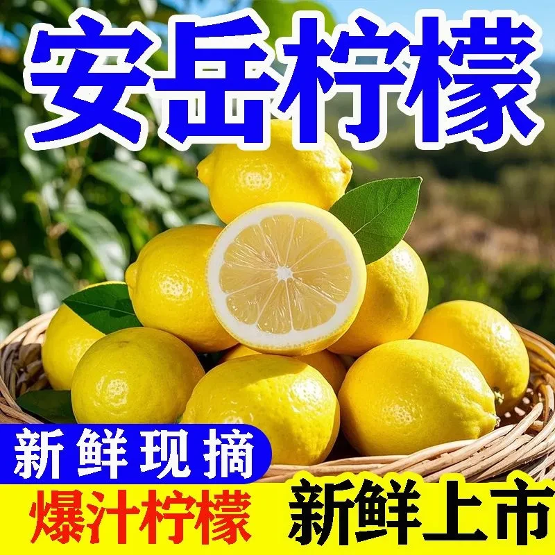 【1斤-5斤】超大鲜果四川安岳新鲜酸柠檬鲜果独立包装爆汁薄皮水果