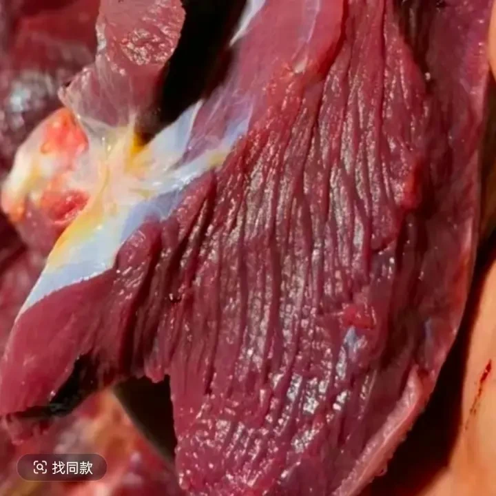 速冻新鲜鸵鸟肉适合炖煮烧烤煎炒美味
