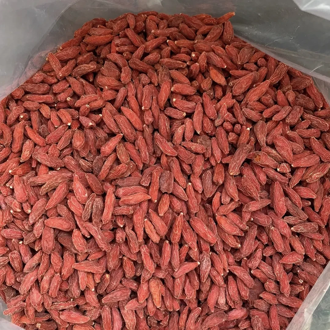 大脑袋头茬红枸杞自然晾晒手工采摘泡水泡茶煲汤