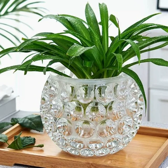 简约加厚玻璃花瓶透明圆形绿萝水培花盆水养植物器皿客厅插花摆件