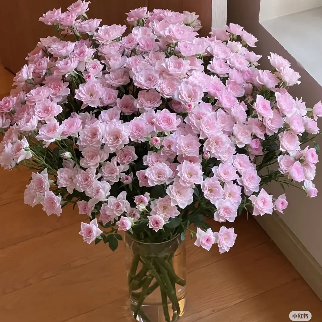 (20把起发)完美甜蜜(花店配货)