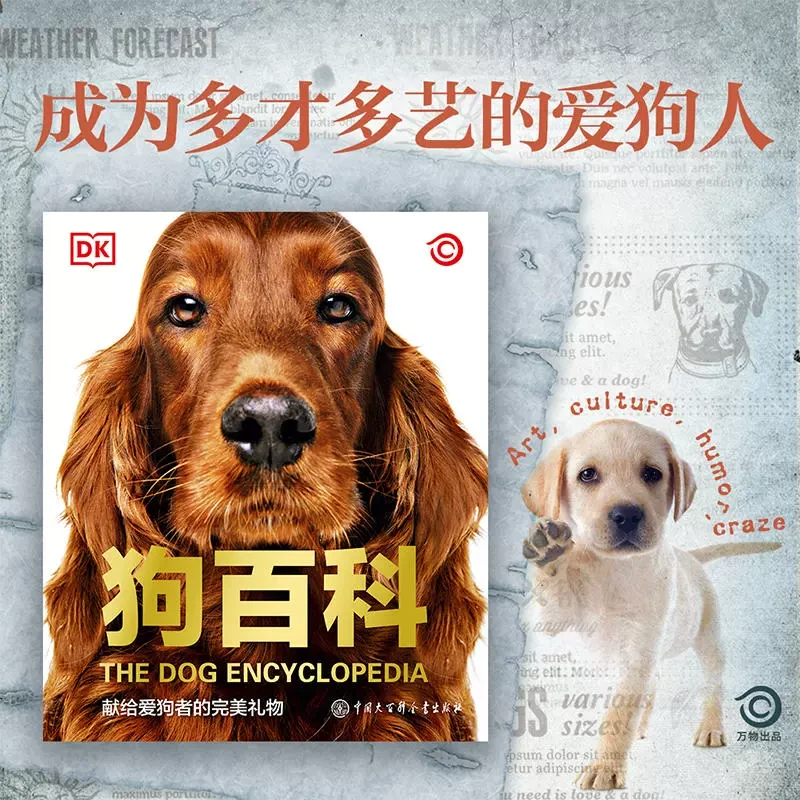 DK狗百科(精装) 名犬百科 科学饲养 养狗全攻略书籍 宠物狗图鉴大