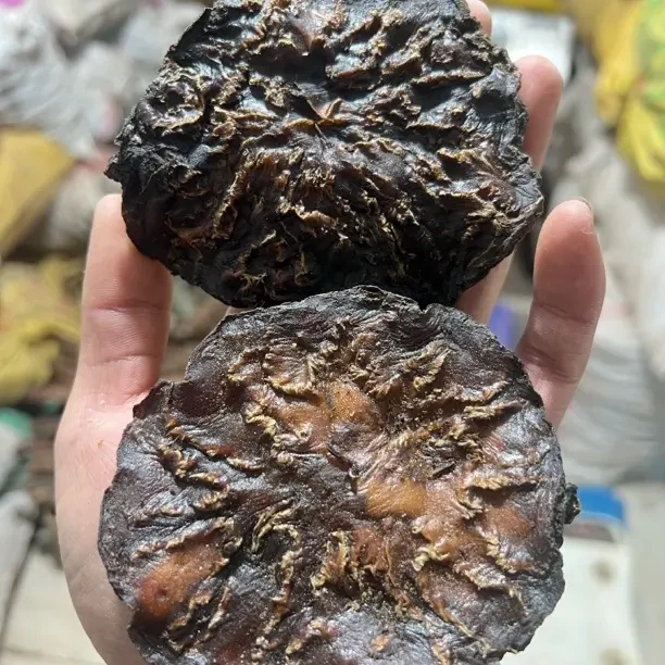 【至尊十年】阿拉善牧区天生地长老根肉苁蓉