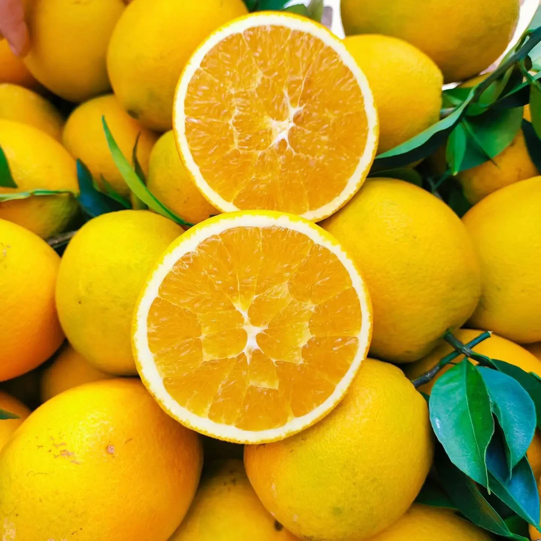 当日采摘正宗赣南脐橙清甜爆汁当季水果